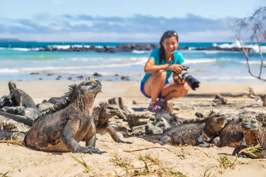 León marino descansando en una isla de Galápagos