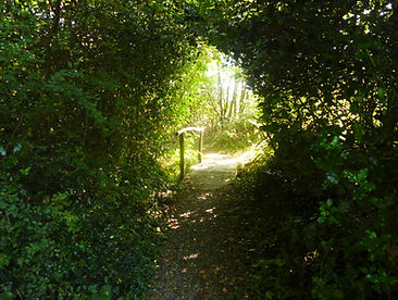Exclusive Camping | Bakesdown Farm Camping | Marhamchurch