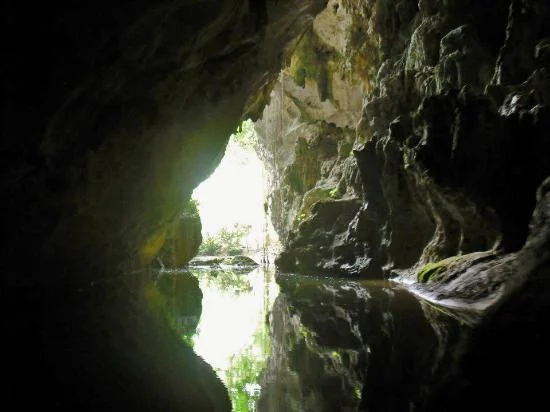 Cueva de Barton Creek en una excursión en canoa