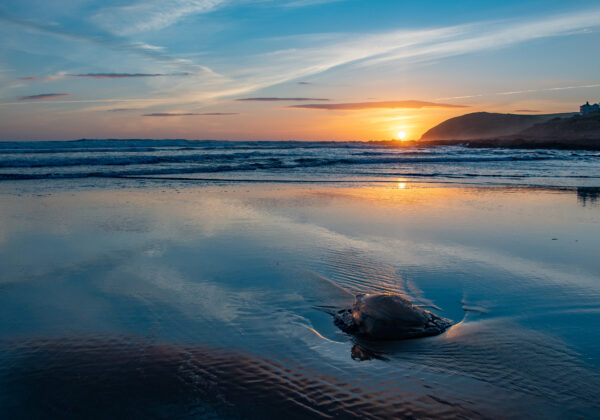 Explore Our North Devon Campsite | Camping At Croyde Bay