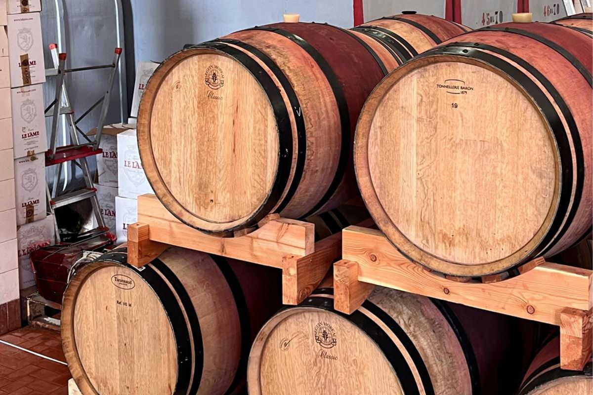 Visita privada a una bodega de Chianti y el Castillo de Brolio