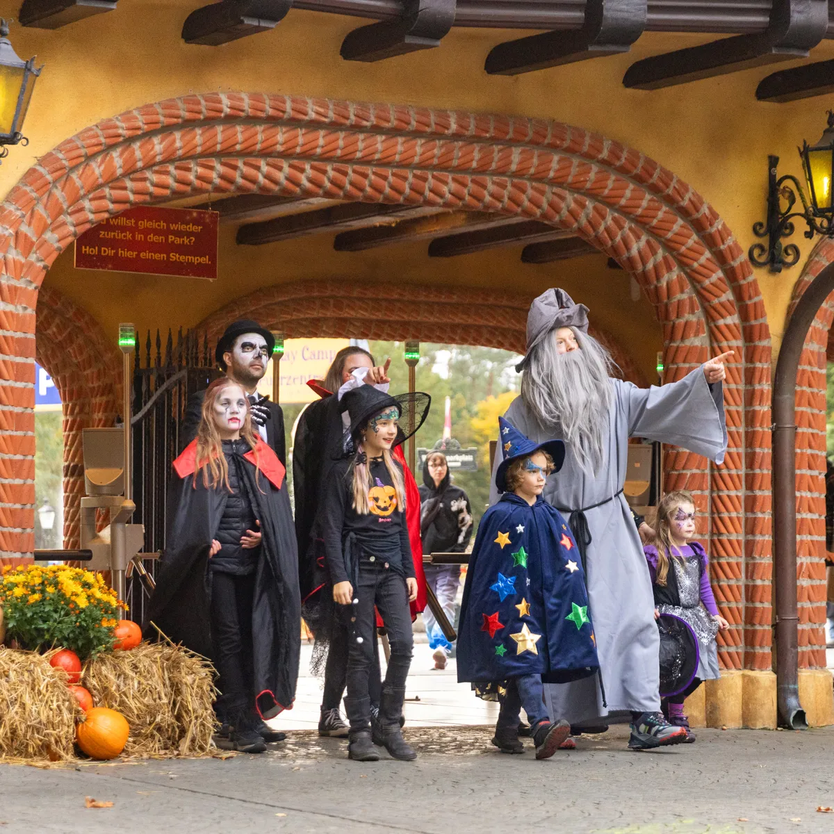 Freizeitpark in Norddeutschland | Heide Park Resort