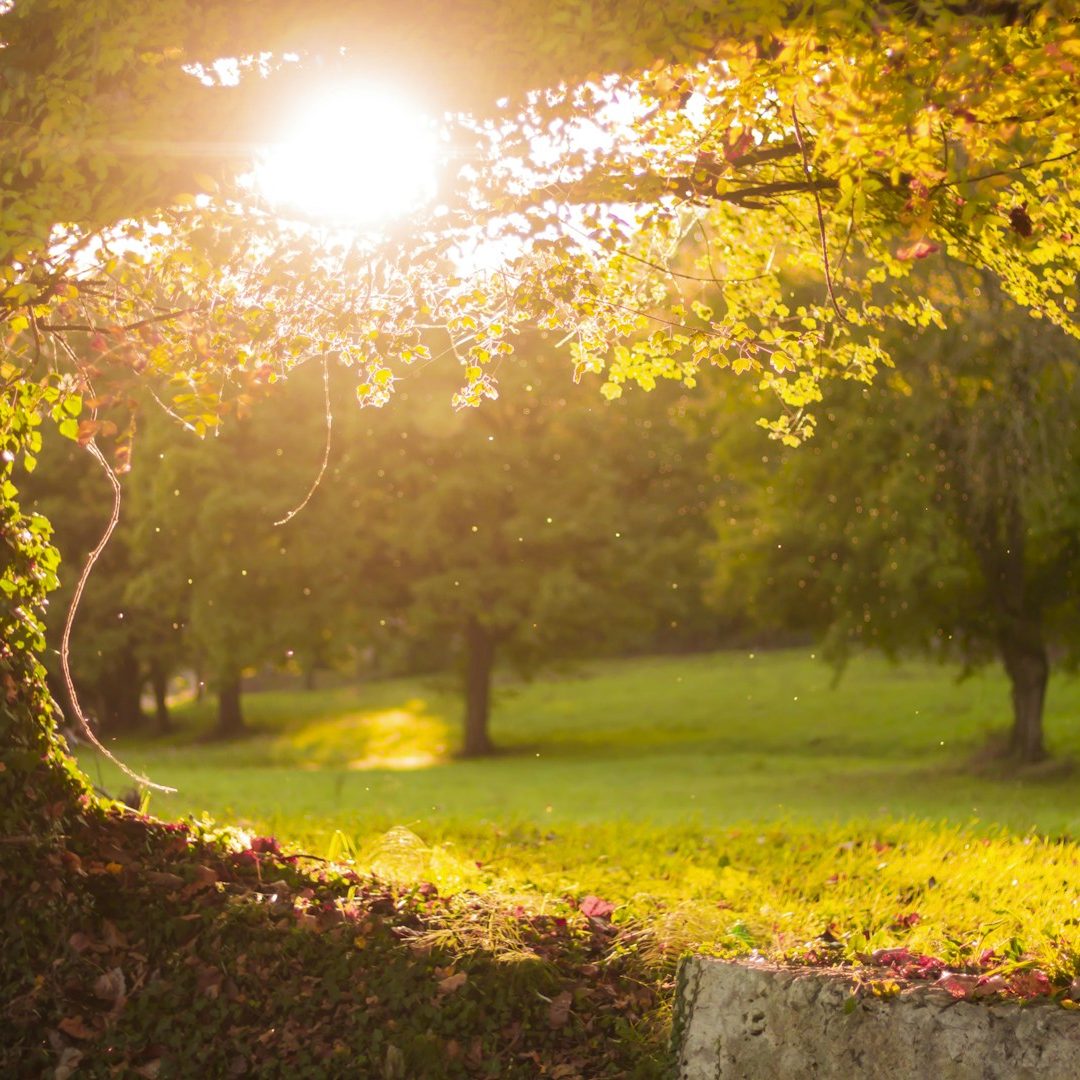Funeral Celebrant Services - Celebrate Life with Becs