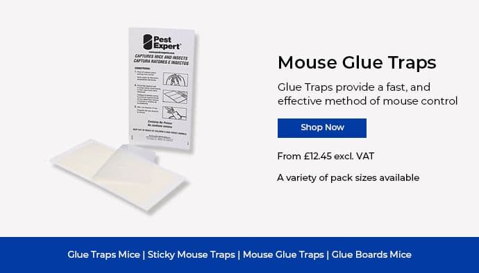 GlueTraps.co.uk