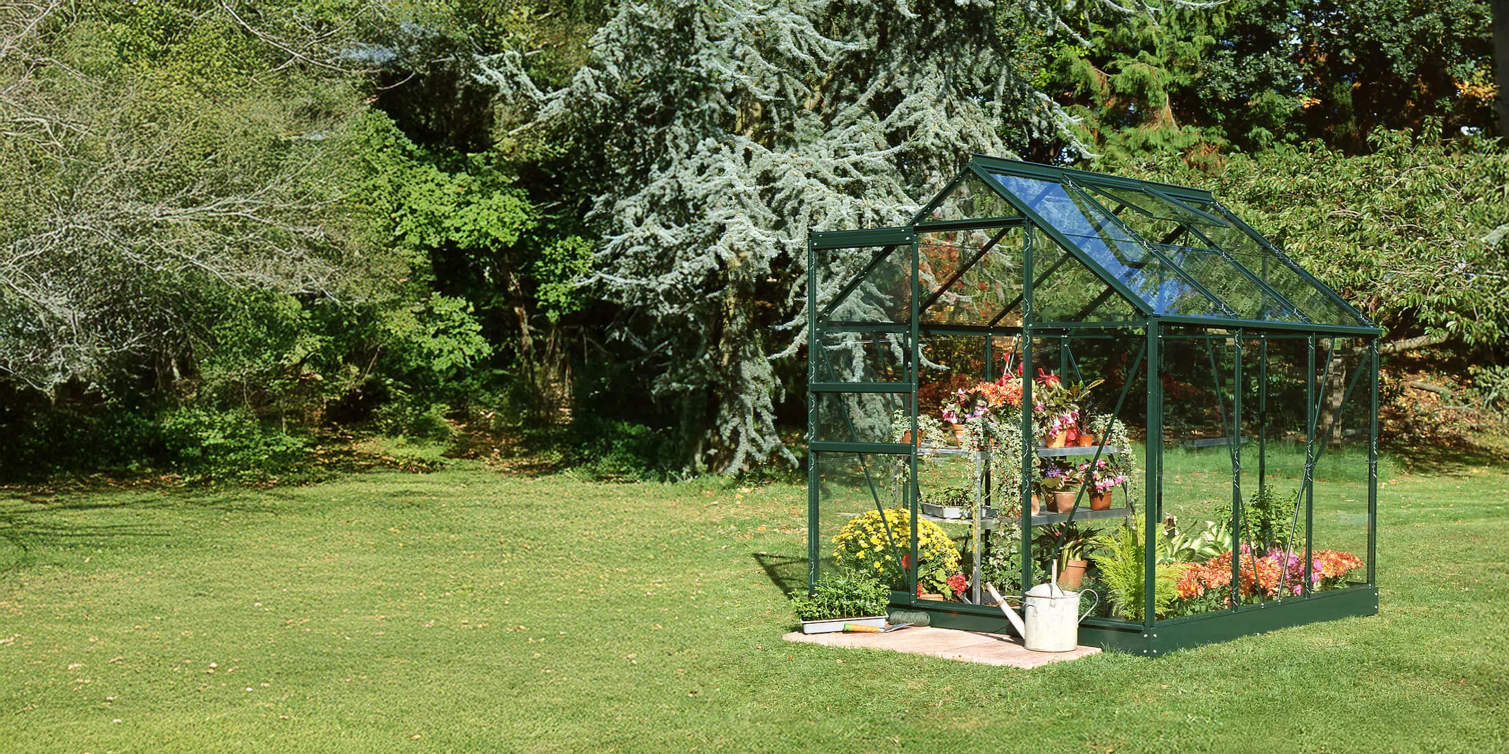 Halls Greenhouses OFFICIAL site | Hallsgreenhouses.com