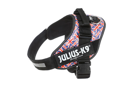 High Quality Dog Harnesses, Collars & Gear | Julius K9 UK