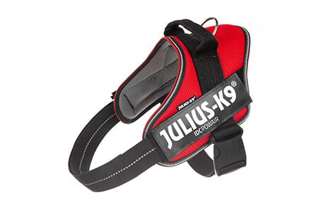 High Quality Dog Harnesses, Collars & Gear | Julius K9 UK