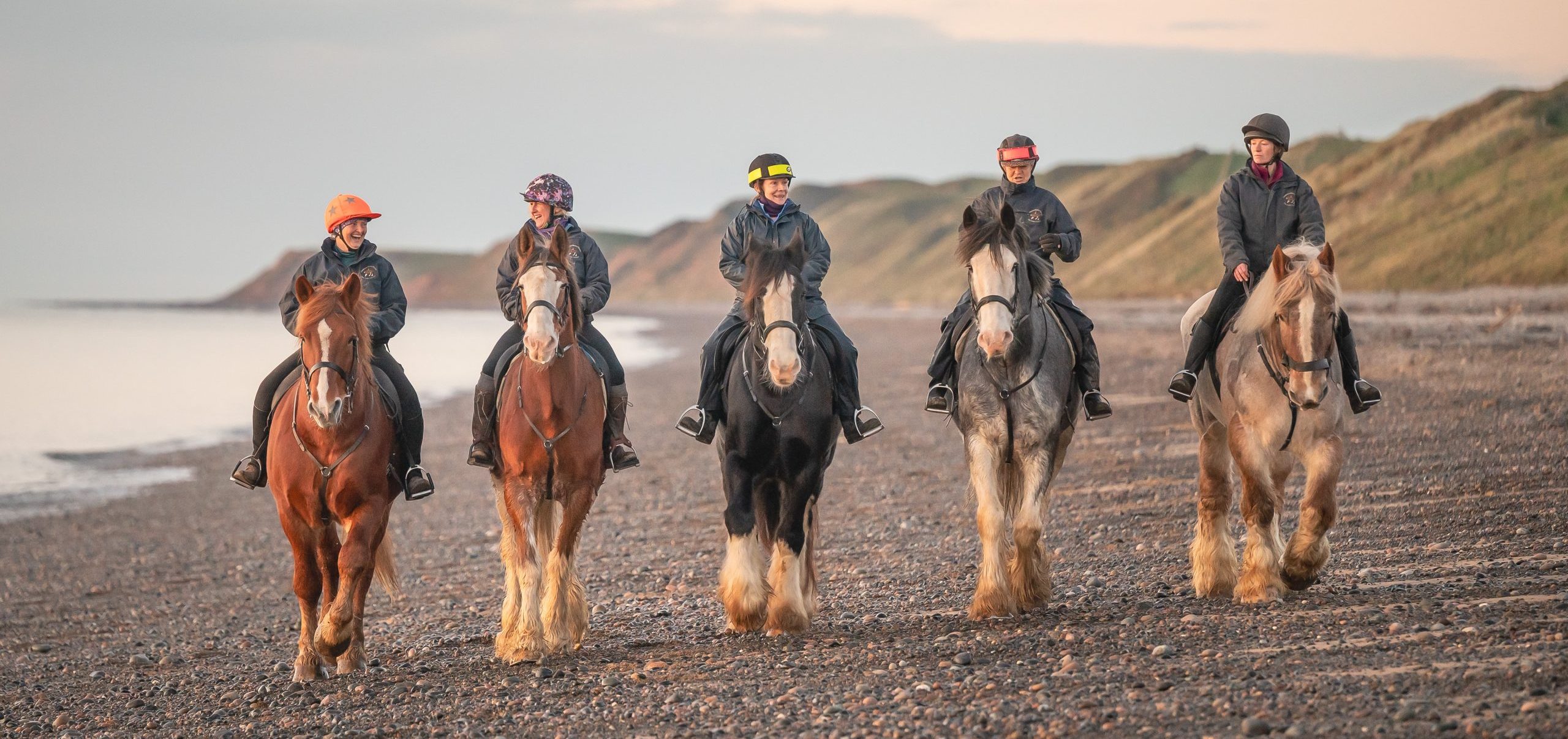 Home - Cumbria Heavy Horses