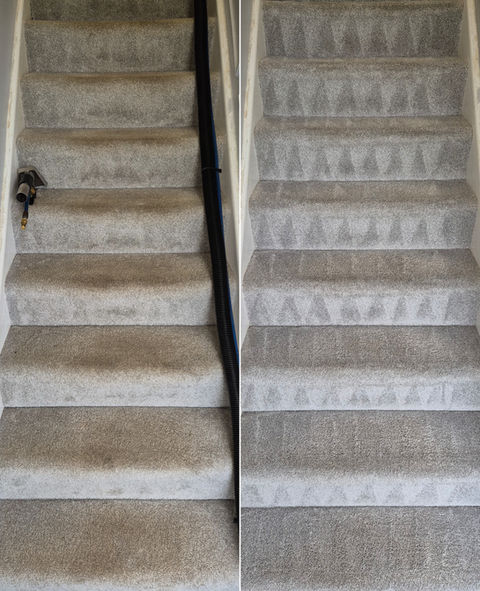 Home | Floor Restore & More | Expert carpet and upholstery cleaning services | Carpet C