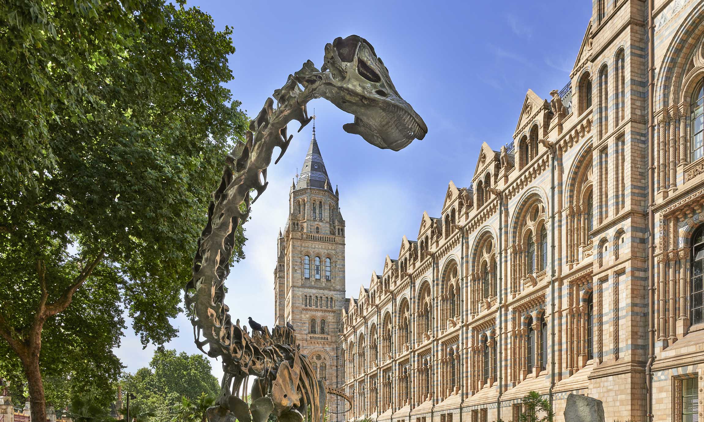 Natural History Museum building in London with a dinosaur skeleton