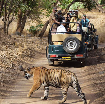 Salida de Jaipur hacia el parque nacional de Ranthambore