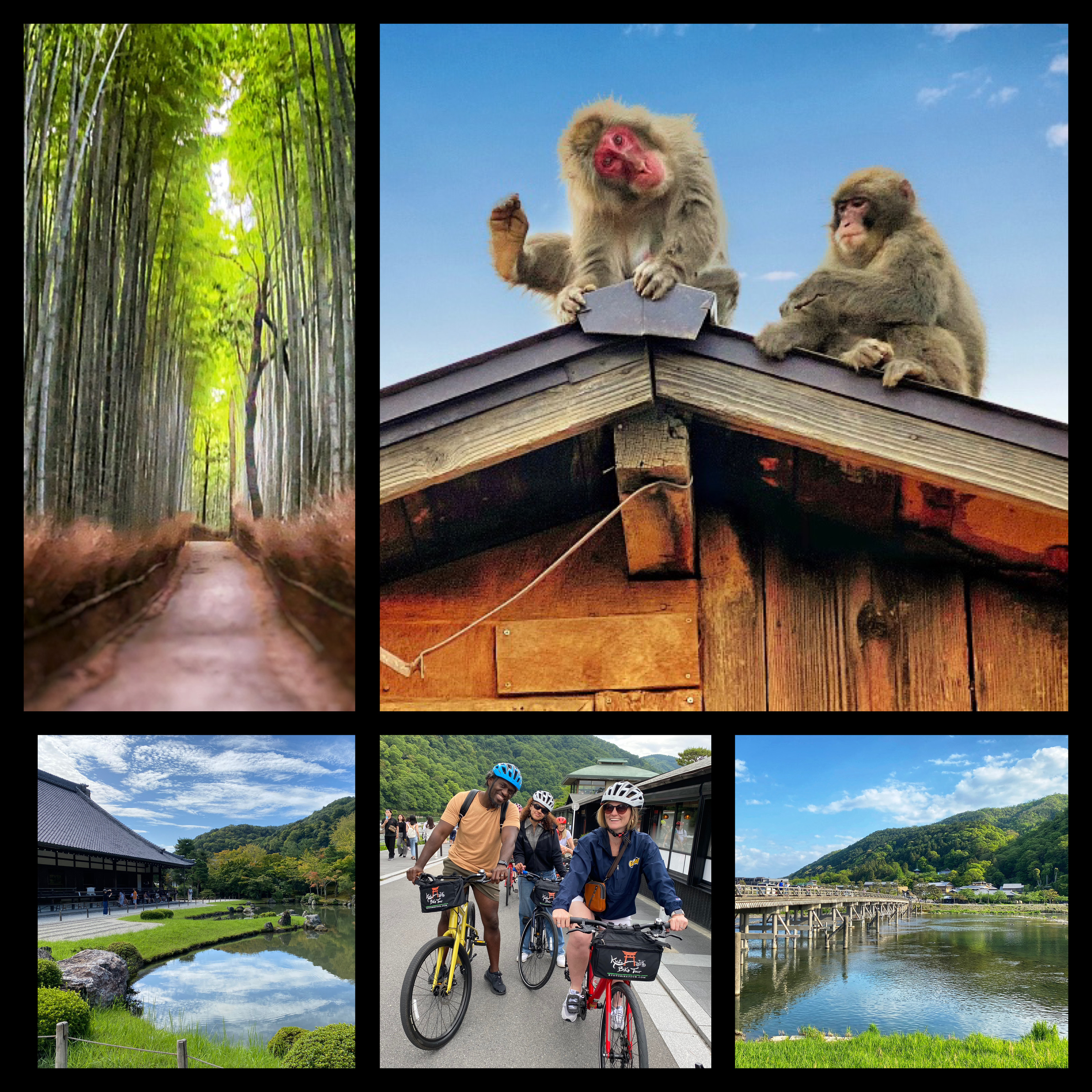 Cyclists exploring Arashiyama with a guide / Ciclistas recorren Arashiyama con un guía