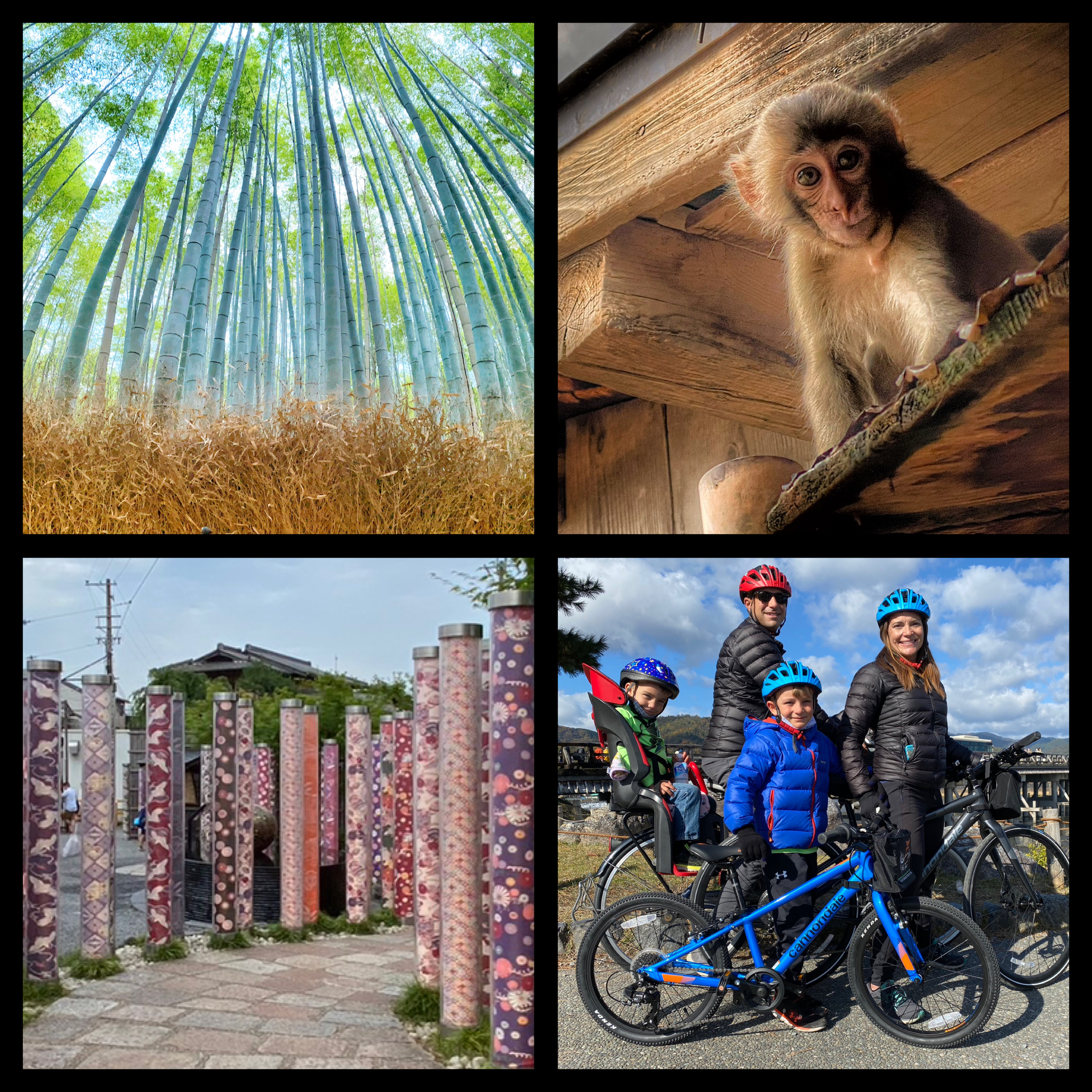 Family group on an Arashiyama bike tour / Familia en un tour de bicicleta por Arashiyama
