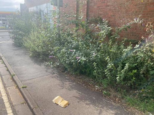 Landscape Gardener Chipping Norton | A Roberts & Son