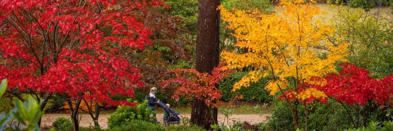 Leonardslee Gardens