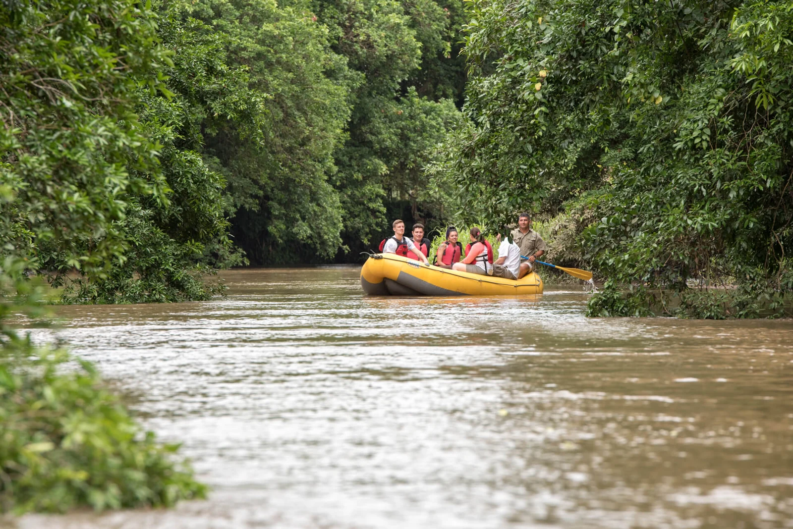 Safari flotante de Jacamar por un río rodeado de bosque tropical