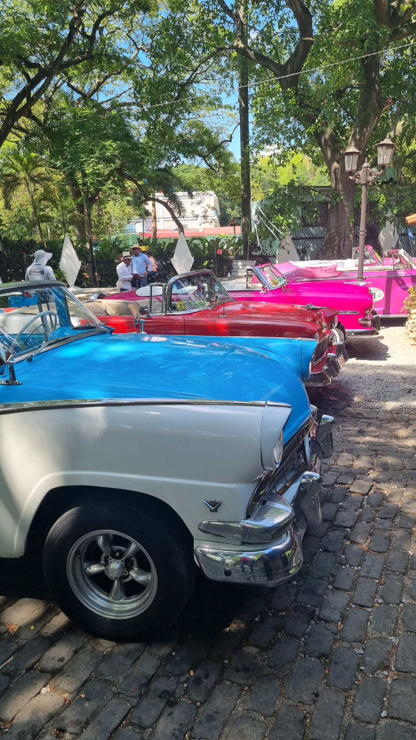Automóviles clásicos en una imagen publicada por Luis Havana Tours