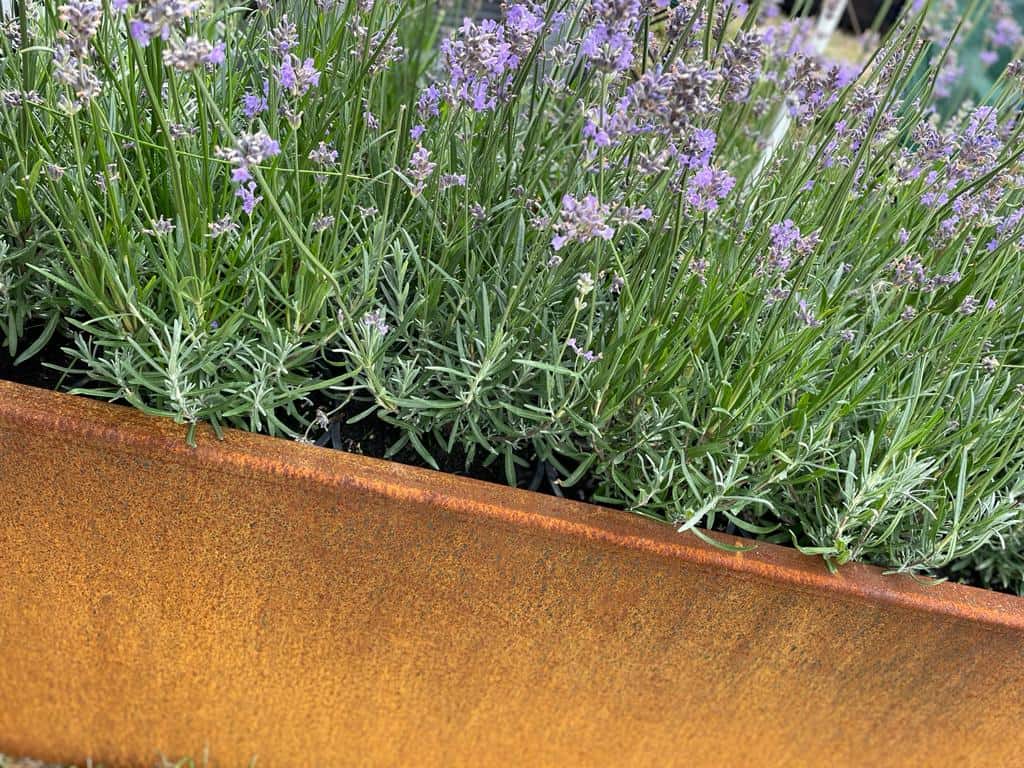 LuxUnique | Metal Garden Products made in the UK