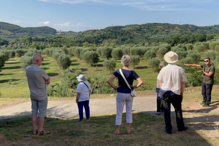 Magari Tours
