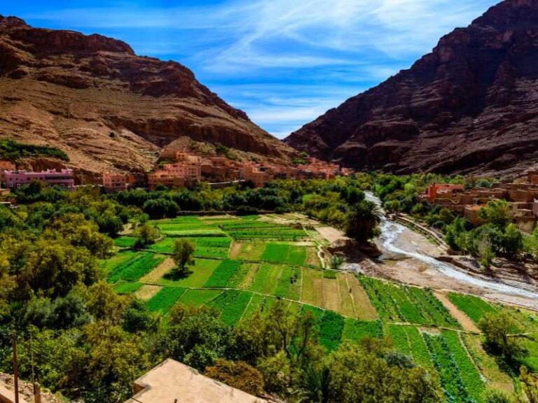 Garganta y oasis en una ruta de varios días hacia el desierto; imagen del catálogo de la empresa.