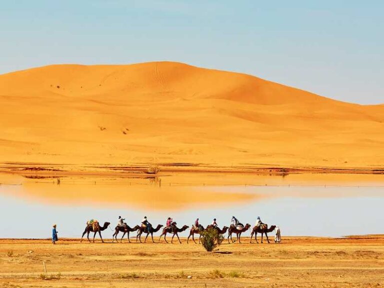 Camellos en el paisaje de Erg Chebbi, una de las actividades que aparece en el catálogo oficial.