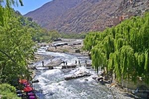 Valle verde y río en las montañas del Atlas, imagen de la excursión a Ourika ofrecida por la empresa.