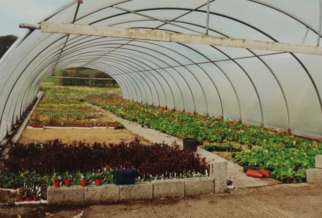 McLarens Nurseries Ltd – McLarens Nurseries Ltd