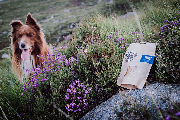 Natural Handmade Dog Biscuits | Arran Dog Bakery