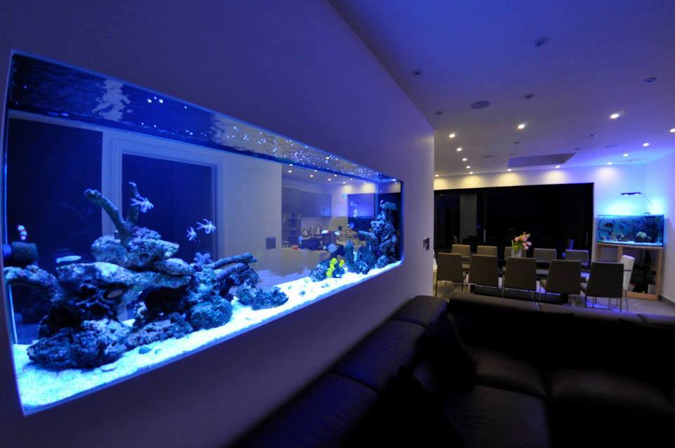 ND Aquatics LTD – High Quality Custom Aquarium Manufacturers in UK