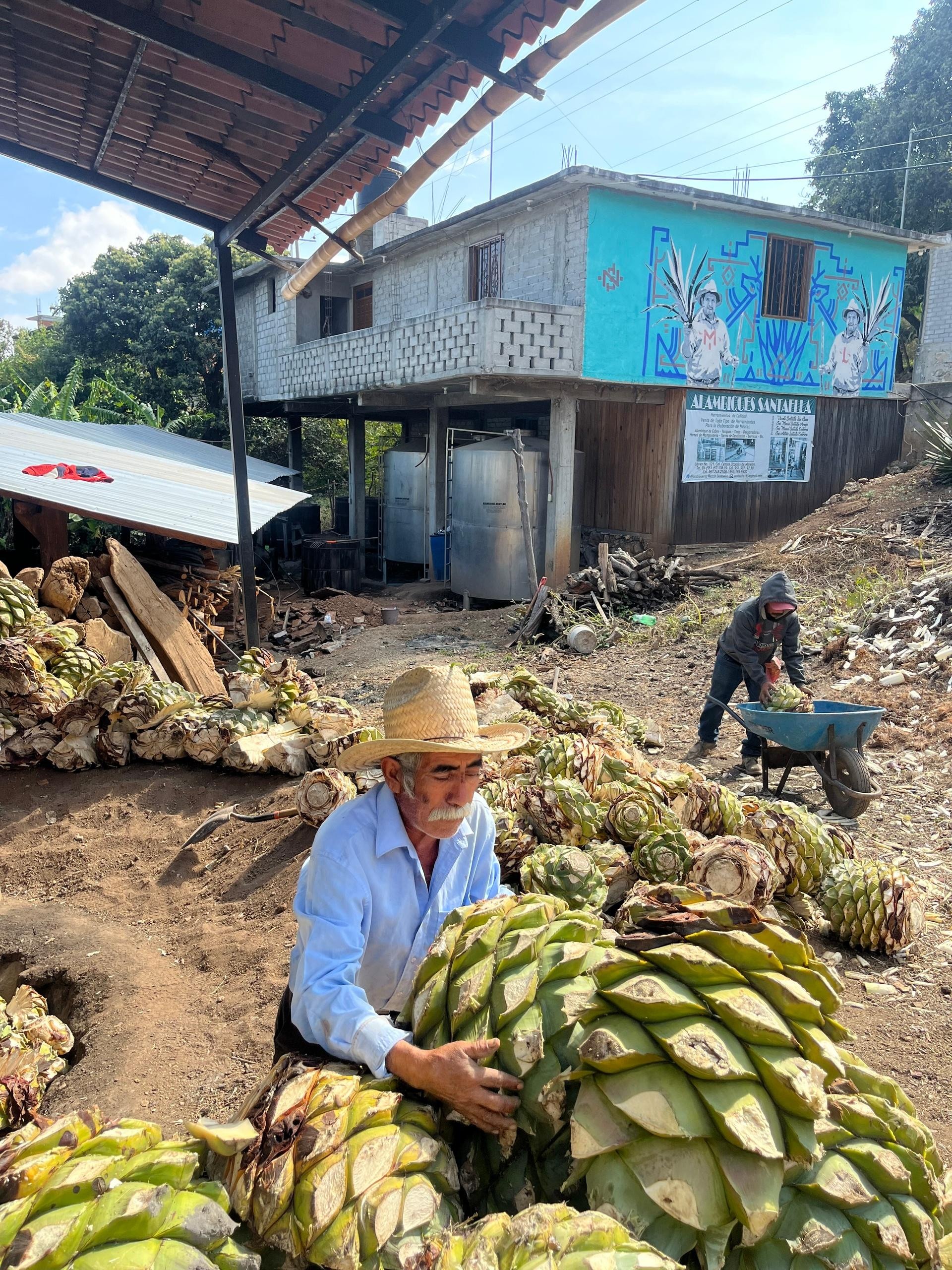 Productor local en una experiencia rural ofrecida por Oaxaca Experience Tours