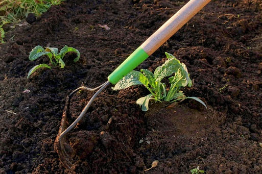 Organic Compost Glasgow | Kelvin Compost