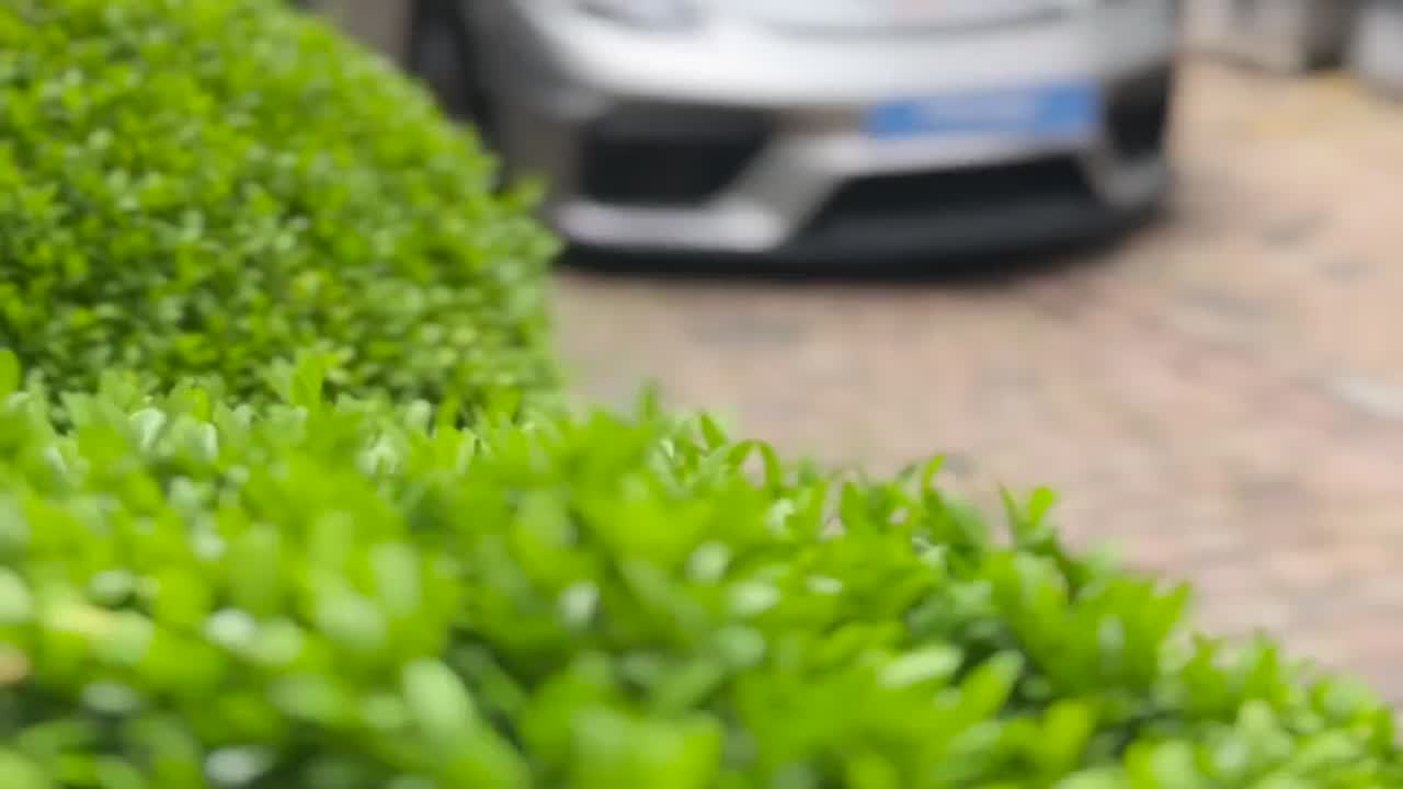 Pioneer Finance