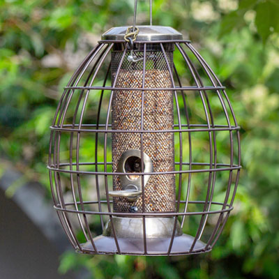 Richard Jackson Garden - Free delivery