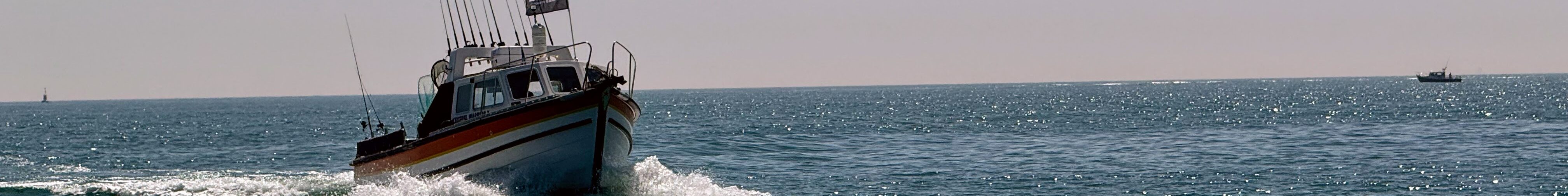 Sea Fishing Trips for All Abilities in Brighton