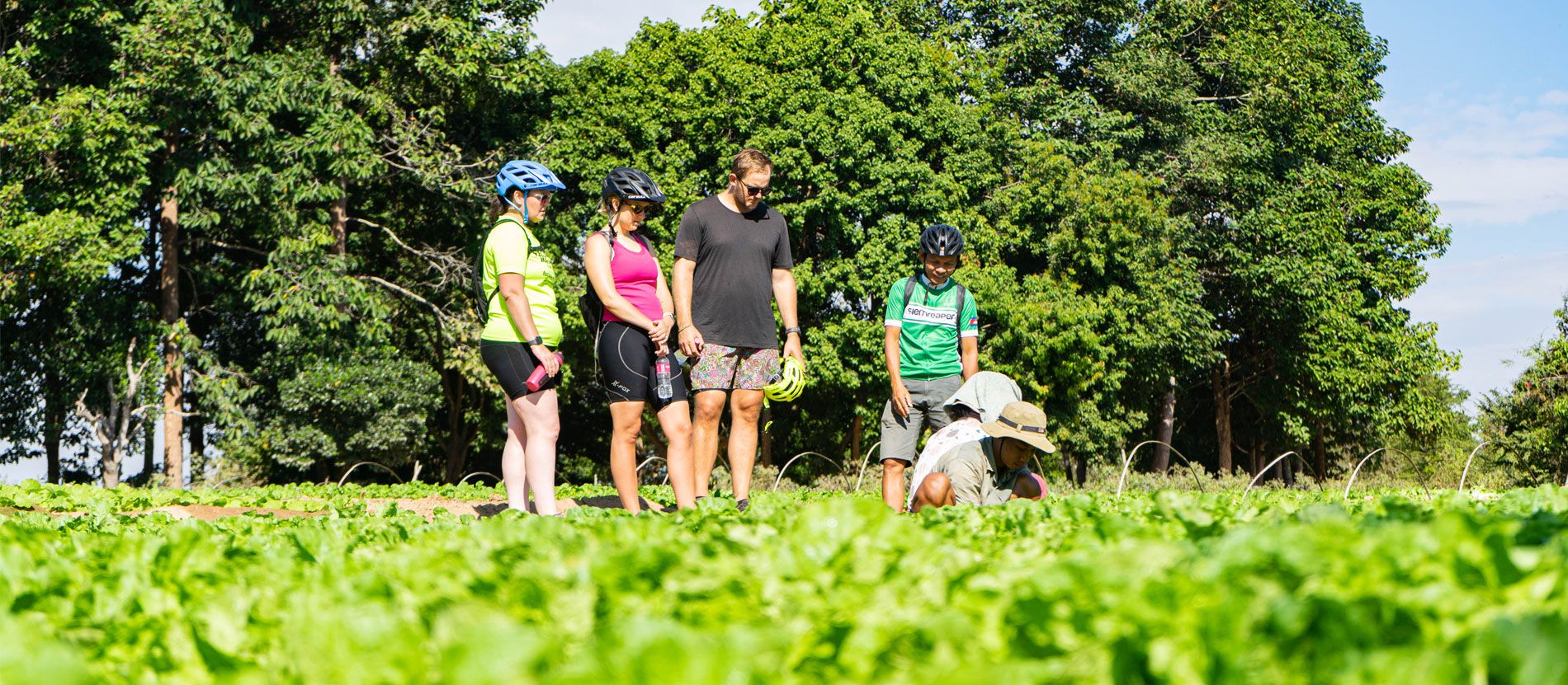 Excursión de Siem Reaper Travel por Camboya