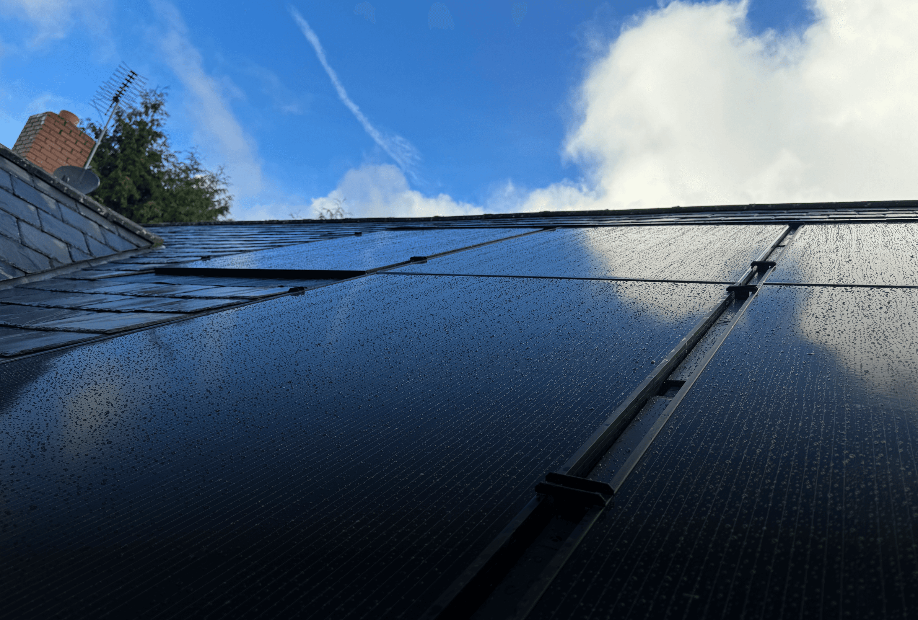 Sigenergy & Aiko Experts | Creative Low Carbon