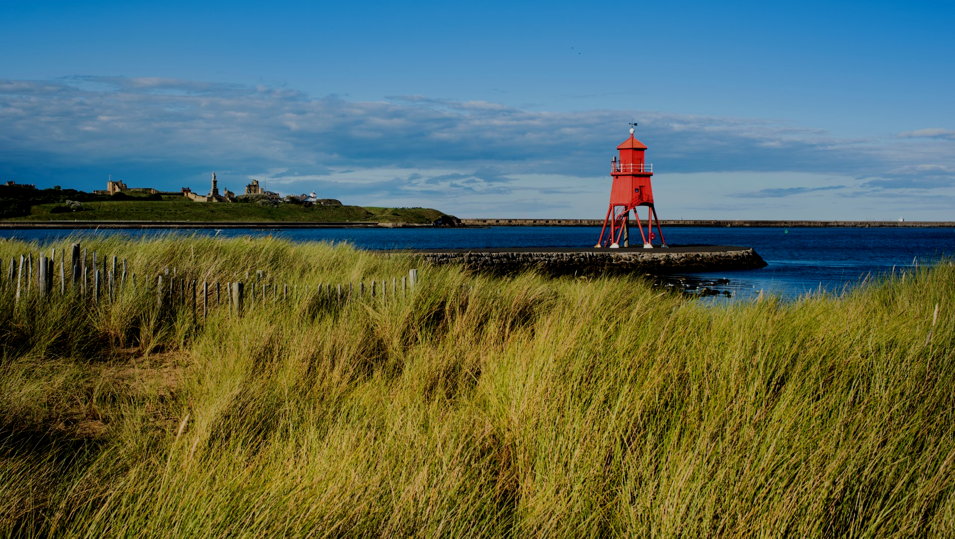Solicitors in South Shields | call Marshall Hall Levy