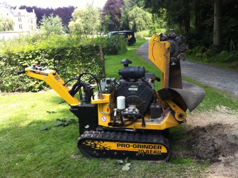 Special Branch Tree Surgery