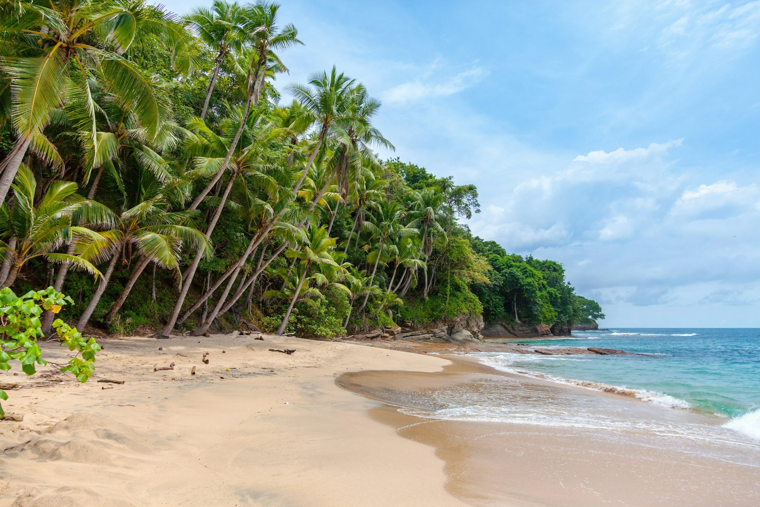 Tailor-Made Luxury Sri Lanka Holiday Tour Packages | Best Sri Lanka Travel Agent in the