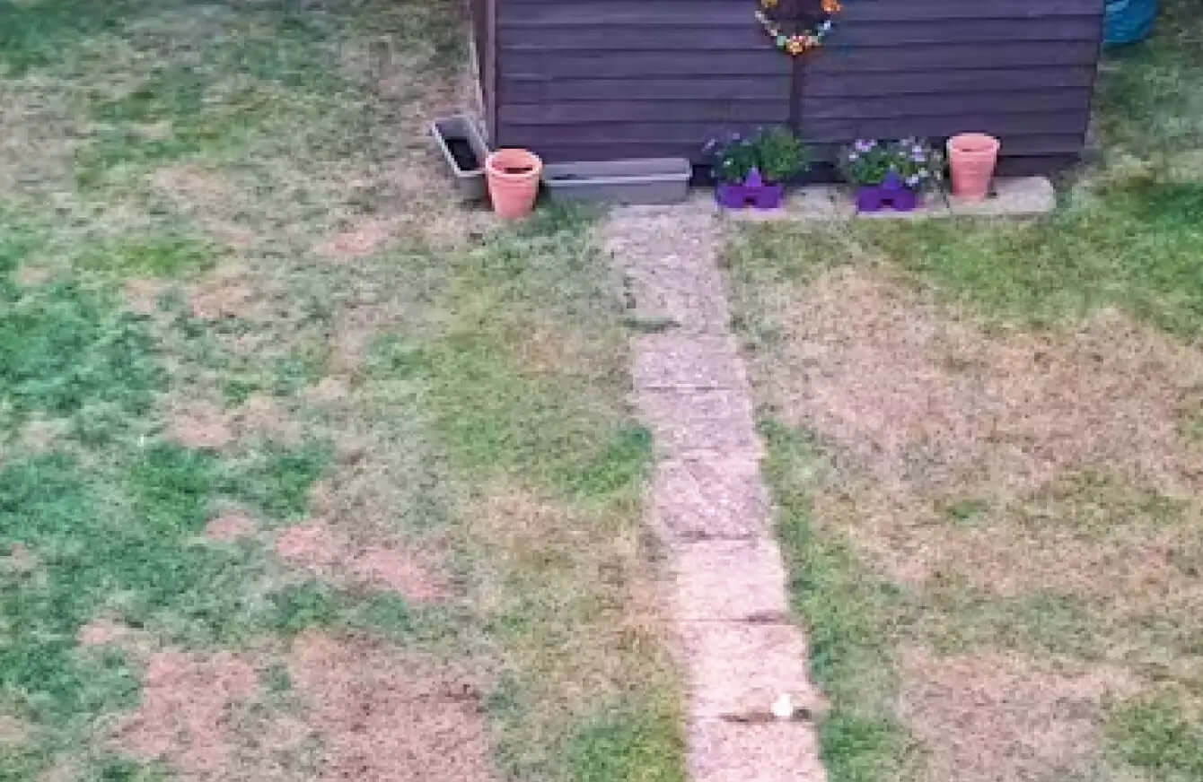 The Lawn Pack
