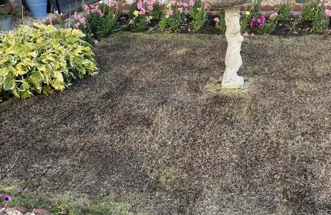 The Lawn Pack