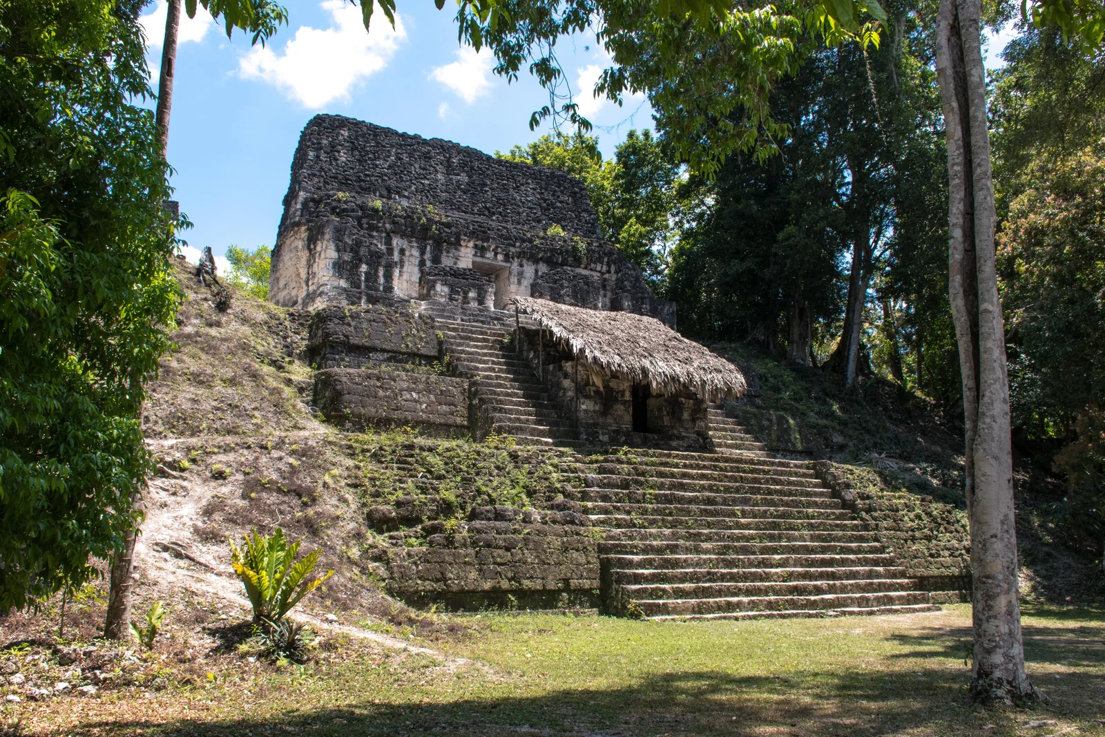 Escalinata de una estructura maya en una excursión guiada