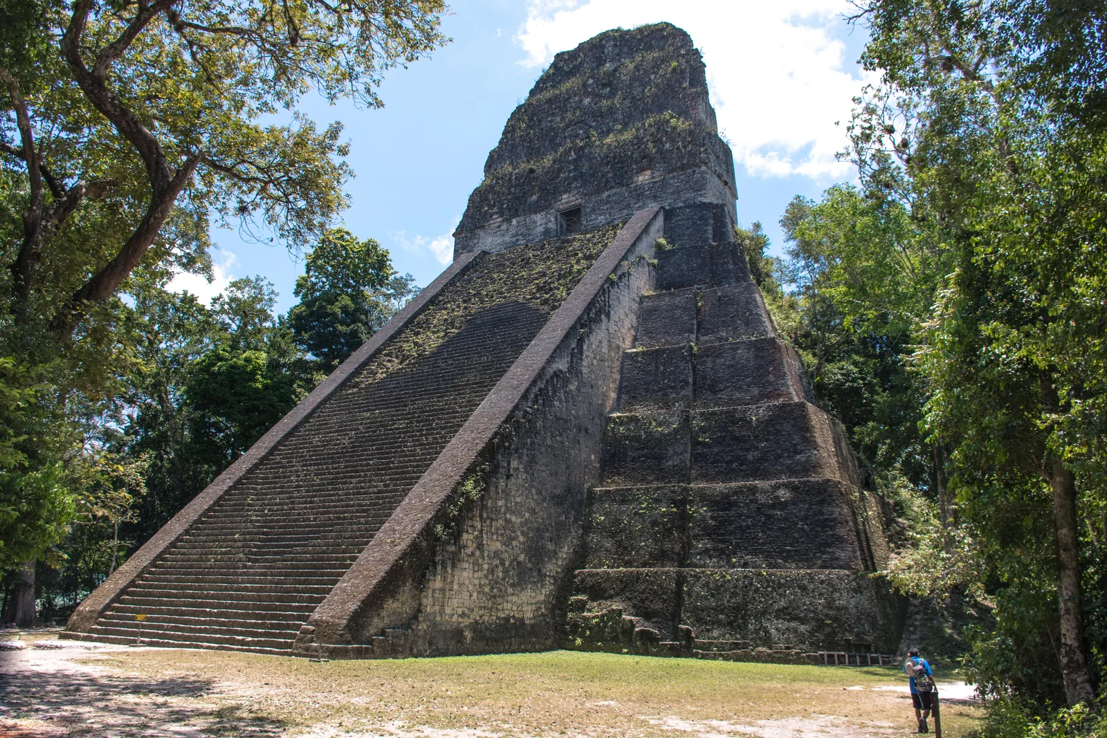Templo maya de Tikal entre la vegetación