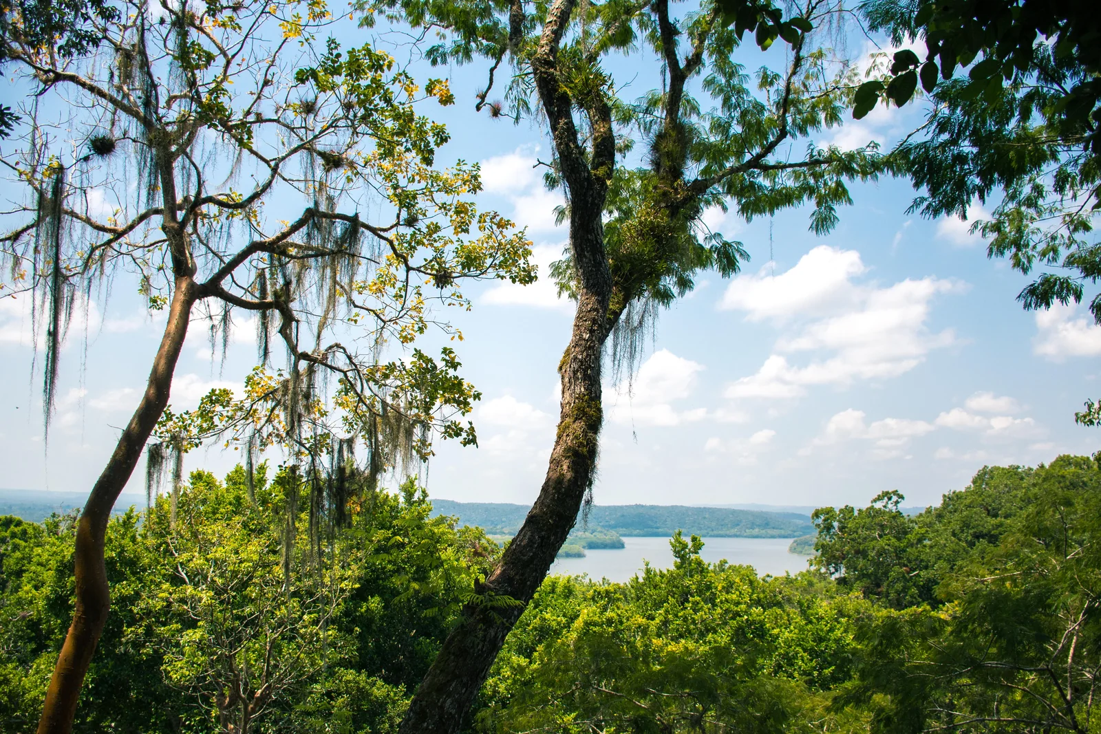 Paisaje de Yaxhá con selva y lago en el horizonte