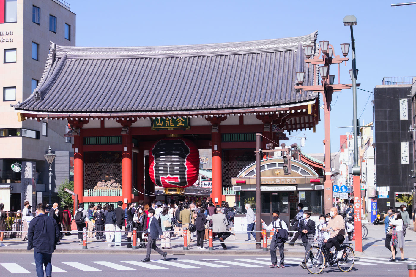 Puerta torii en una experiencia cultural guiada en Tokio