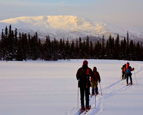 Participants travelling through snowy wilderness on a guided outdoor experience