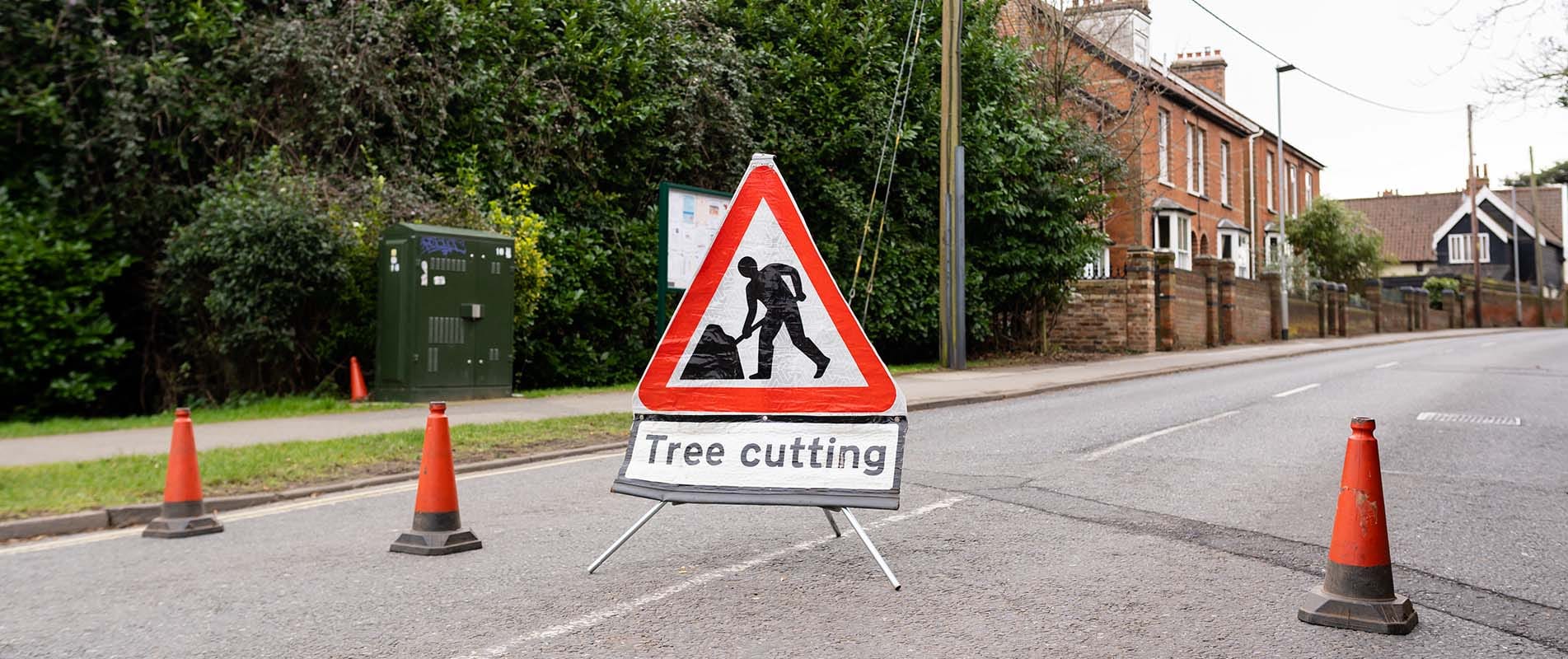 Tree Surgeons Surrey | South East Forestry and Tree Services