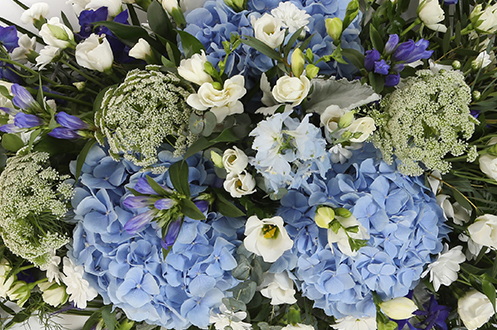 Twiggs and Thistles, your florist in Aberdeen. Same day flower delivery in and across Ab