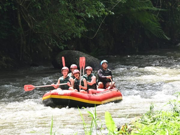 Rafting en una excursión de Bali Ubud Tour