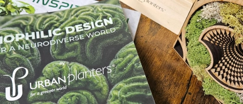 UK Plant Displays & Landscaping Services | Urban Planters